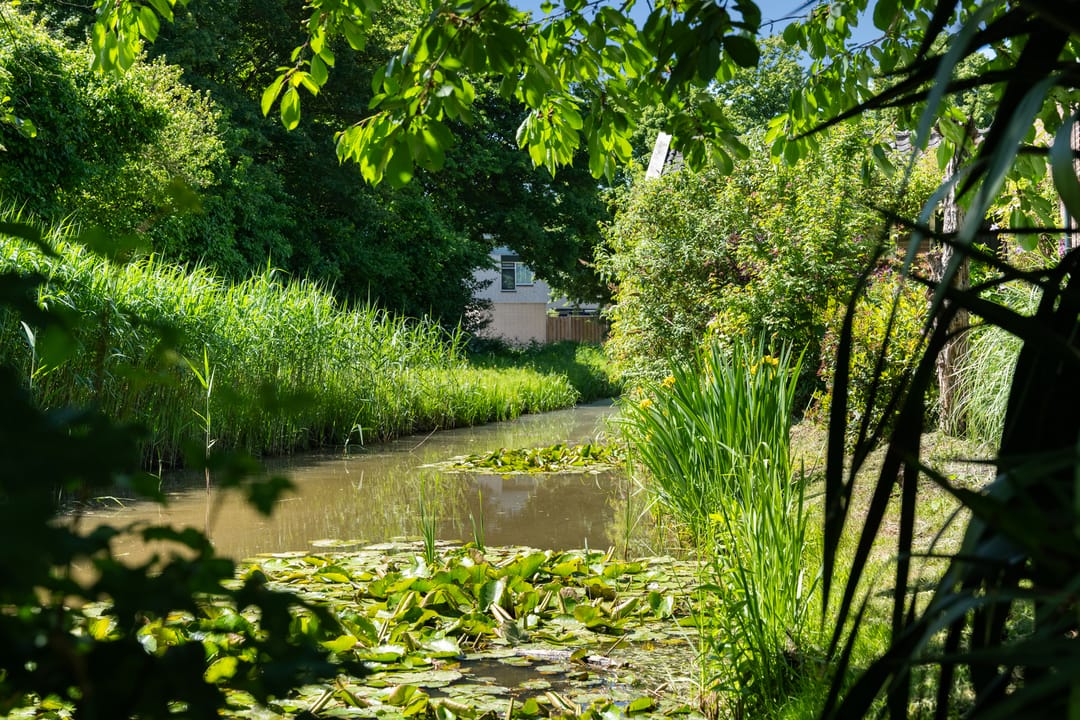 Foto 41 van Capelseweg 496