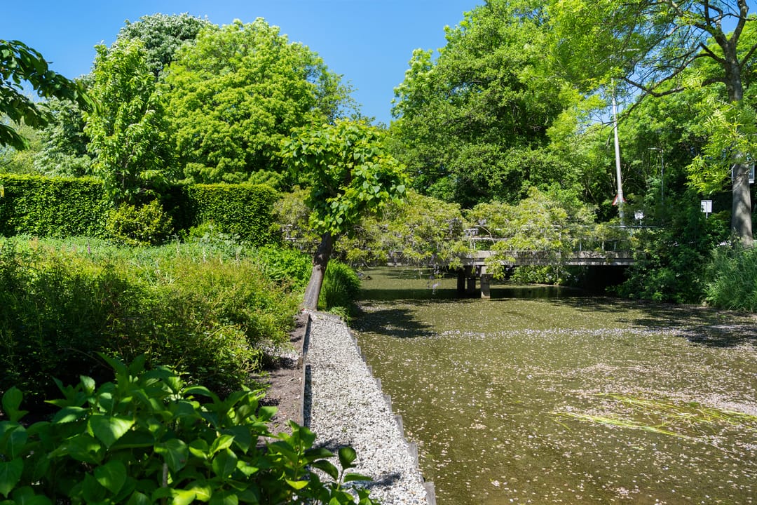 Foto 43 van Capelseweg 496