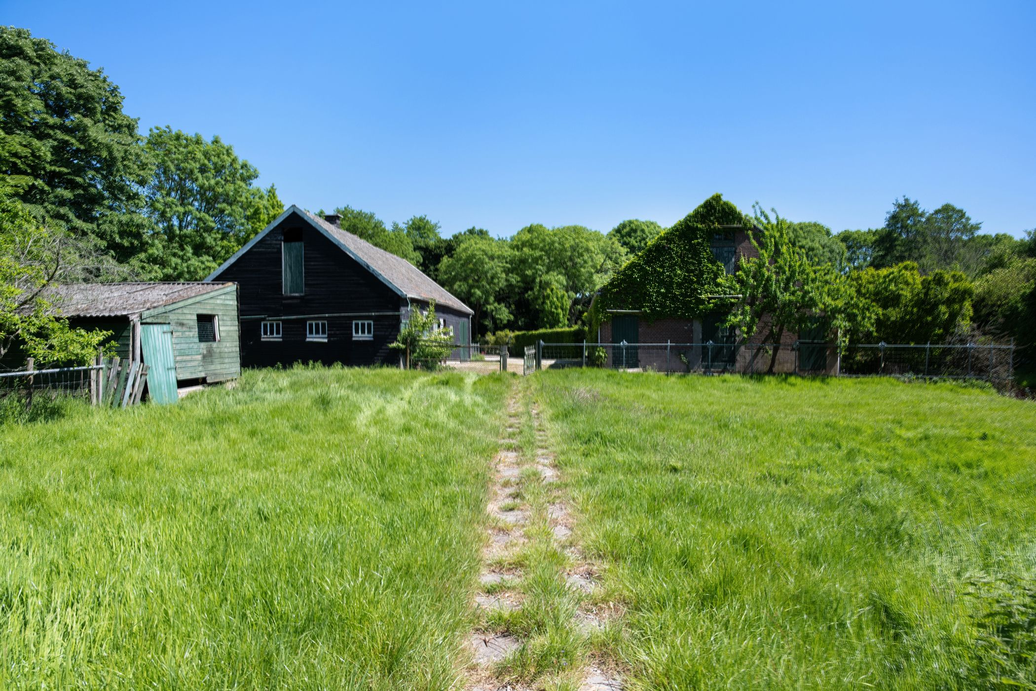 Foto 48 van Capelseweg 496