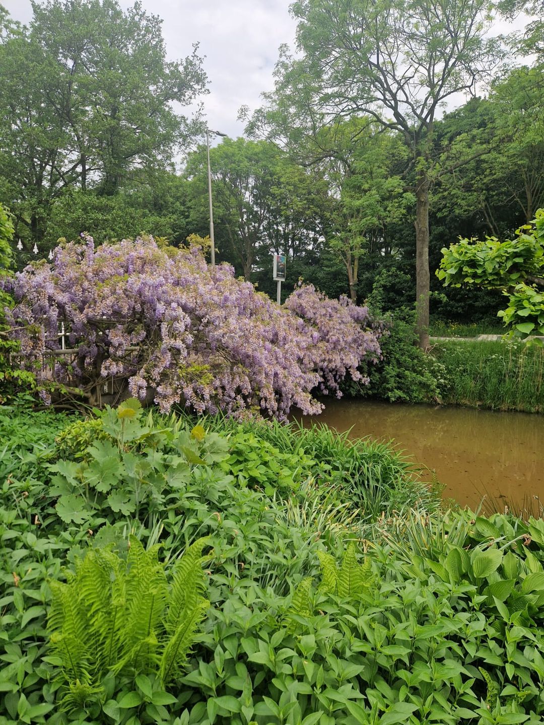 Foto 68 van Capelseweg 496