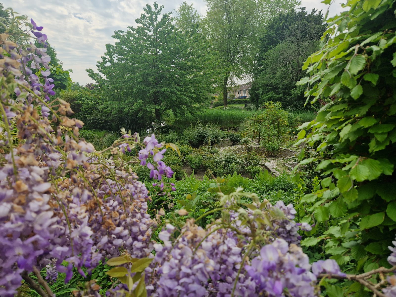 Foto 69 van Capelseweg 496