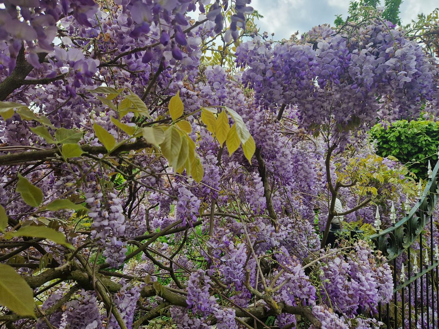 Foto 70 van Capelseweg 496