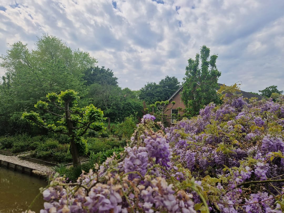 Foto 71 van Capelseweg 496