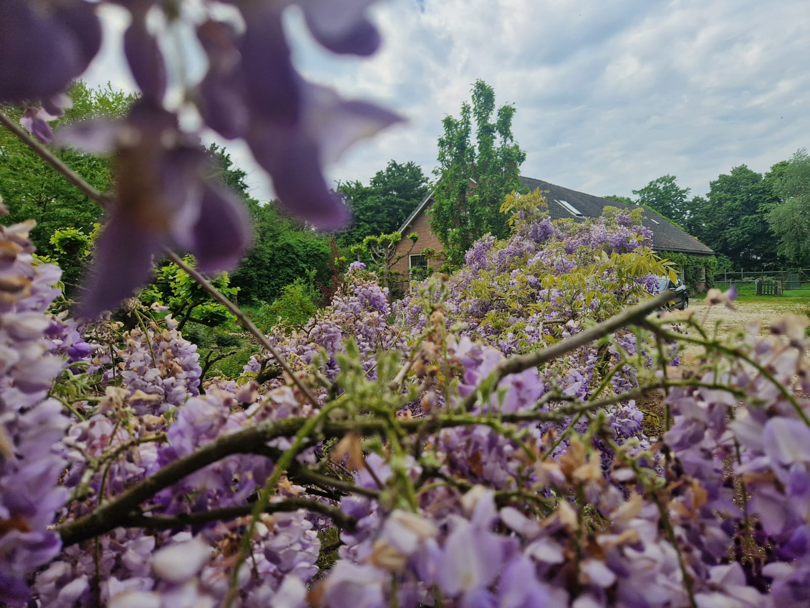 Foto 72 van Capelseweg 496