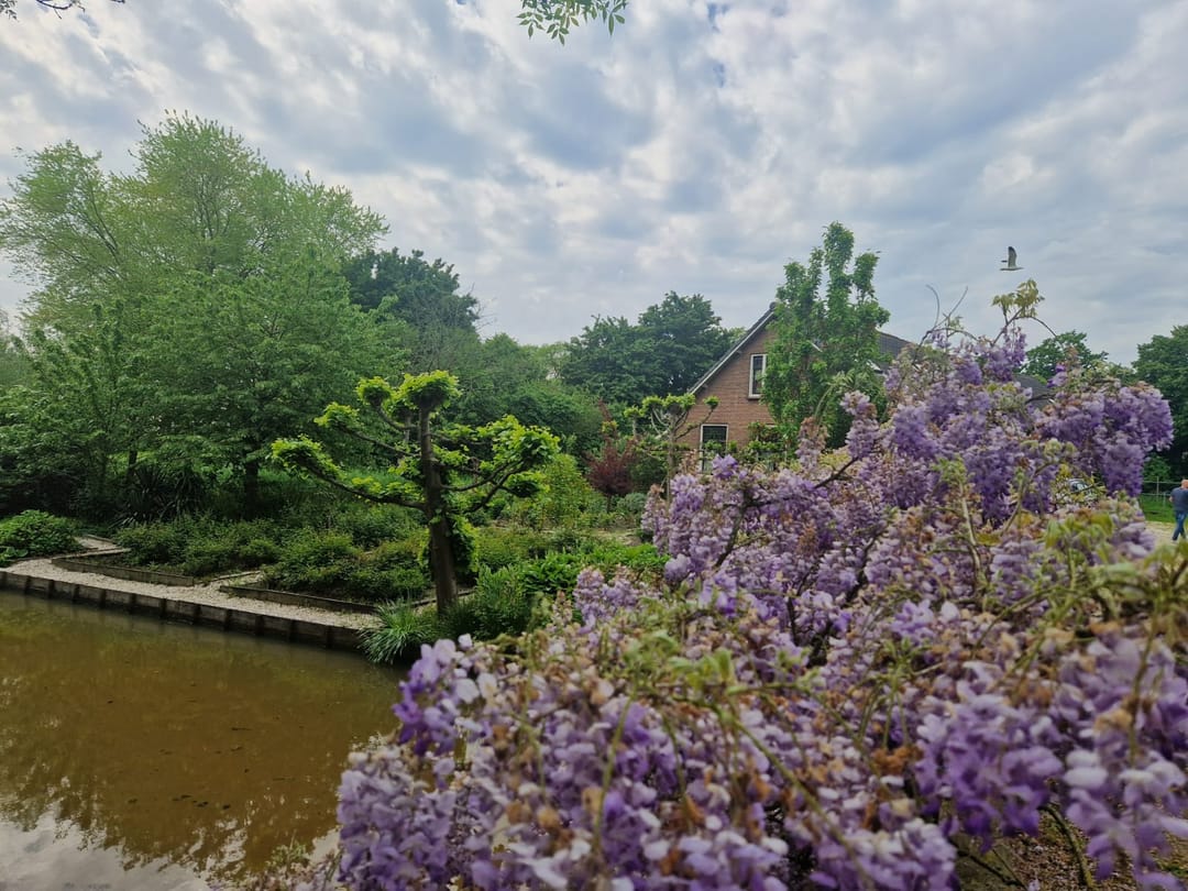 Foto 76 van Capelseweg 496