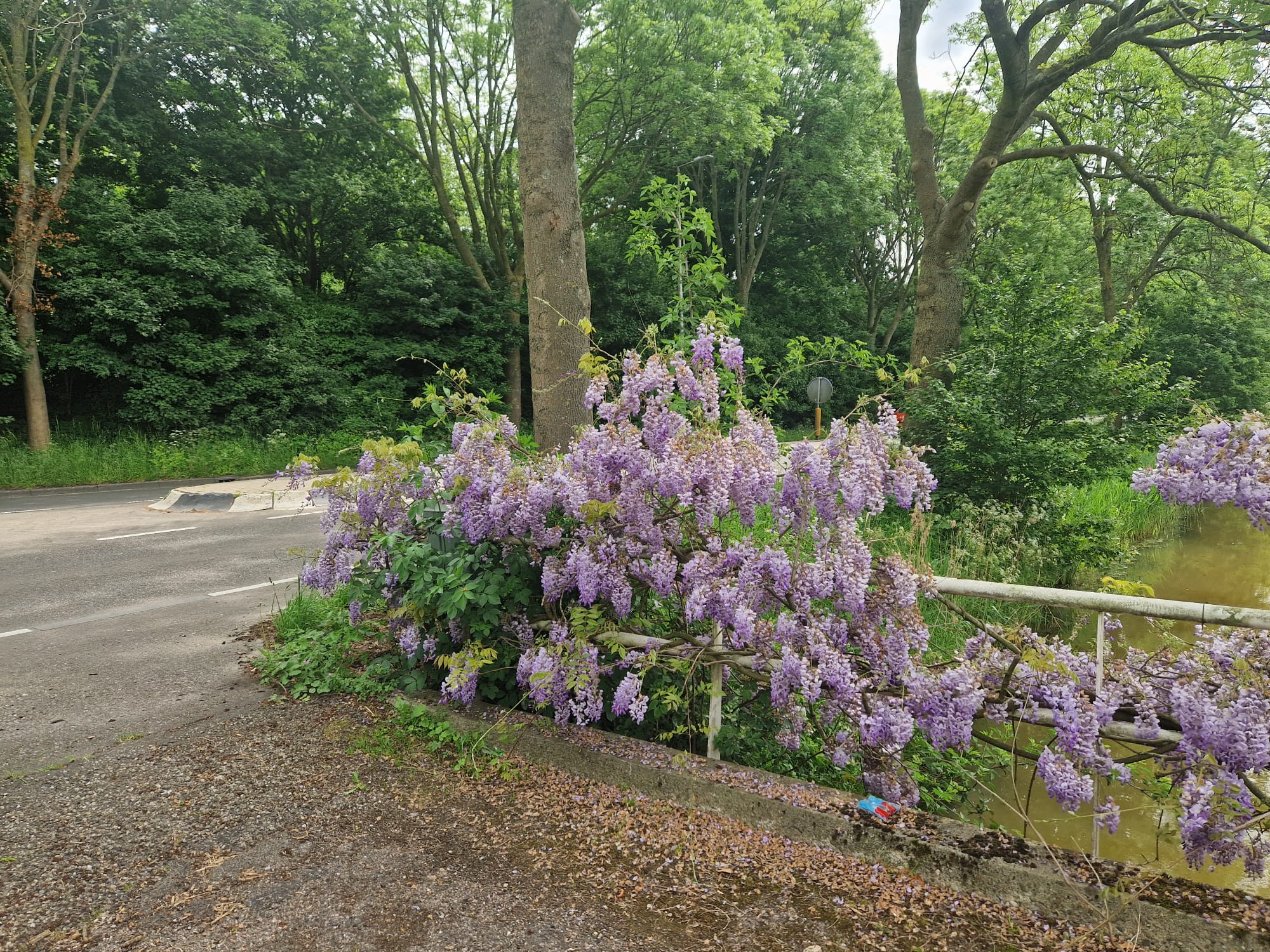 Foto 78 van Capelseweg 496