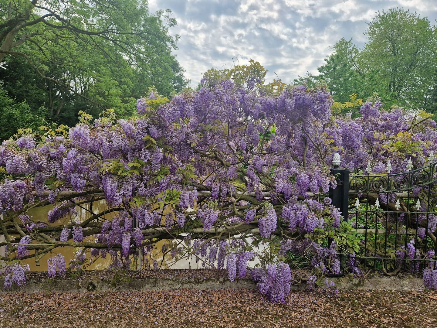 Foto 80 van Capelseweg 496