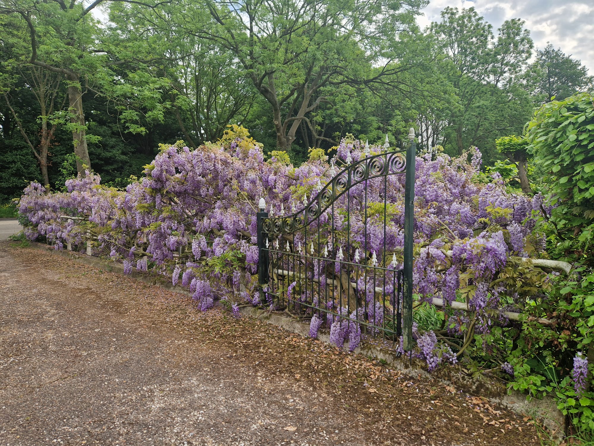 Foto 81 van Capelseweg 496