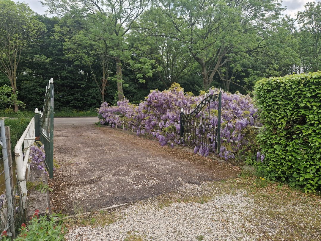 Foto 82 van Capelseweg 496