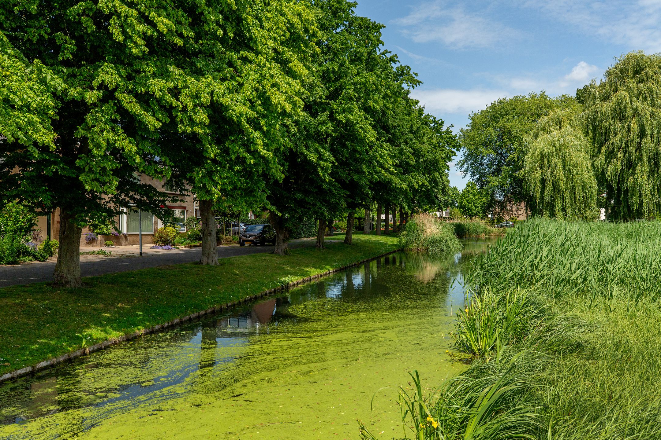 Foto 42 van Schaatsbaan 136