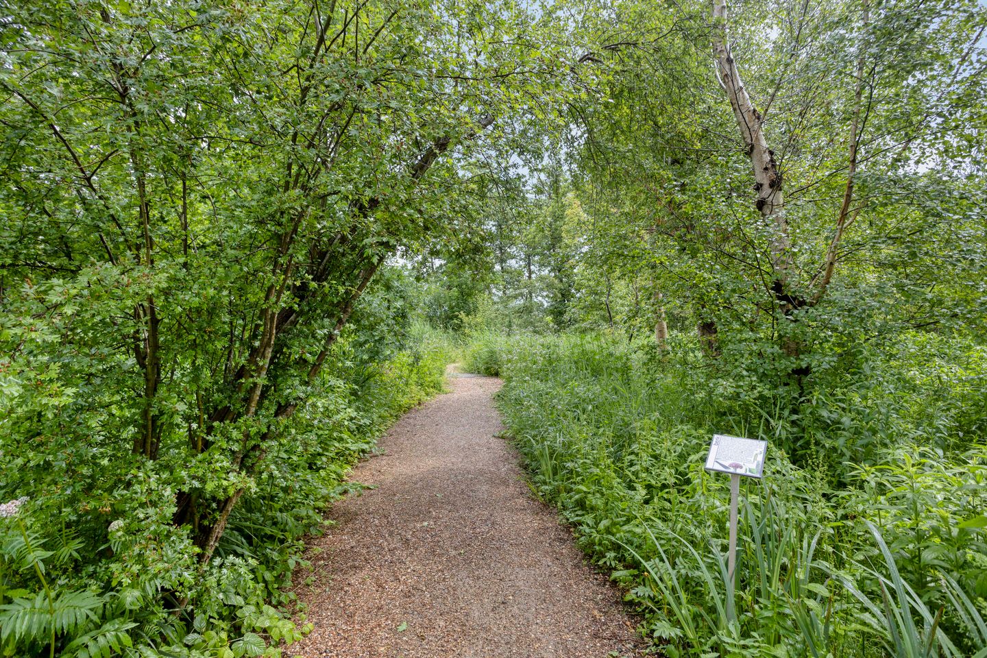 Foto 34 van Lodewijk van Deyssellaan 15