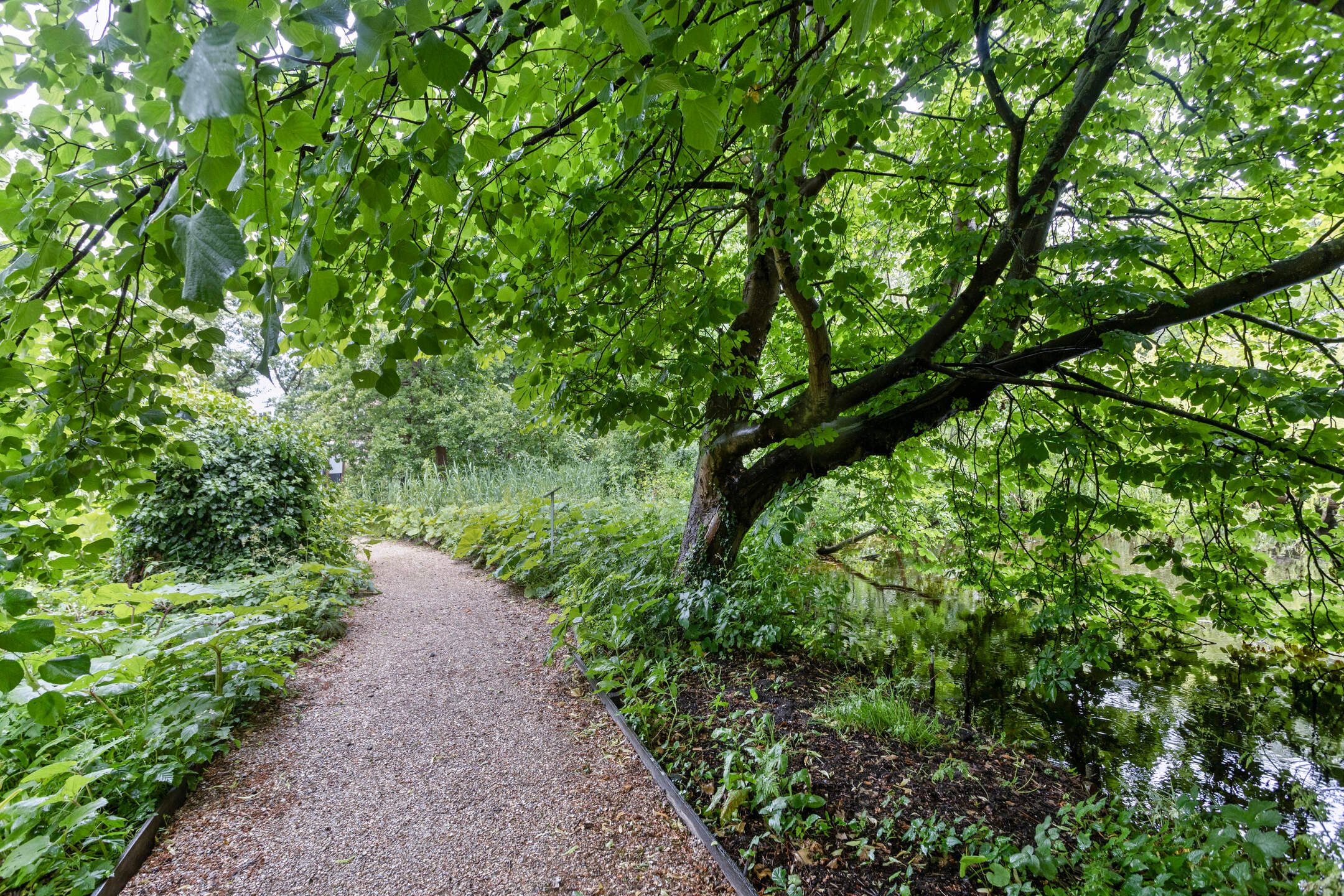 Foto 36 van Lodewijk van Deyssellaan 15