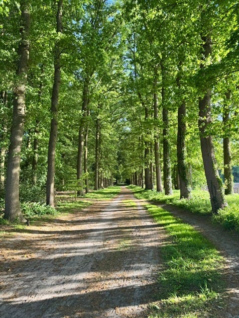 Foto 48 van Nijstadstraat 6