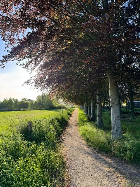 Foto 50 van Nijstadstraat 6