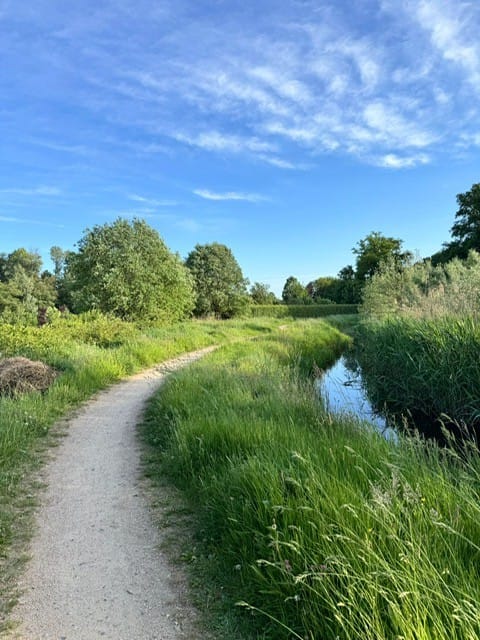 Foto 51 van Nijstadstraat 6