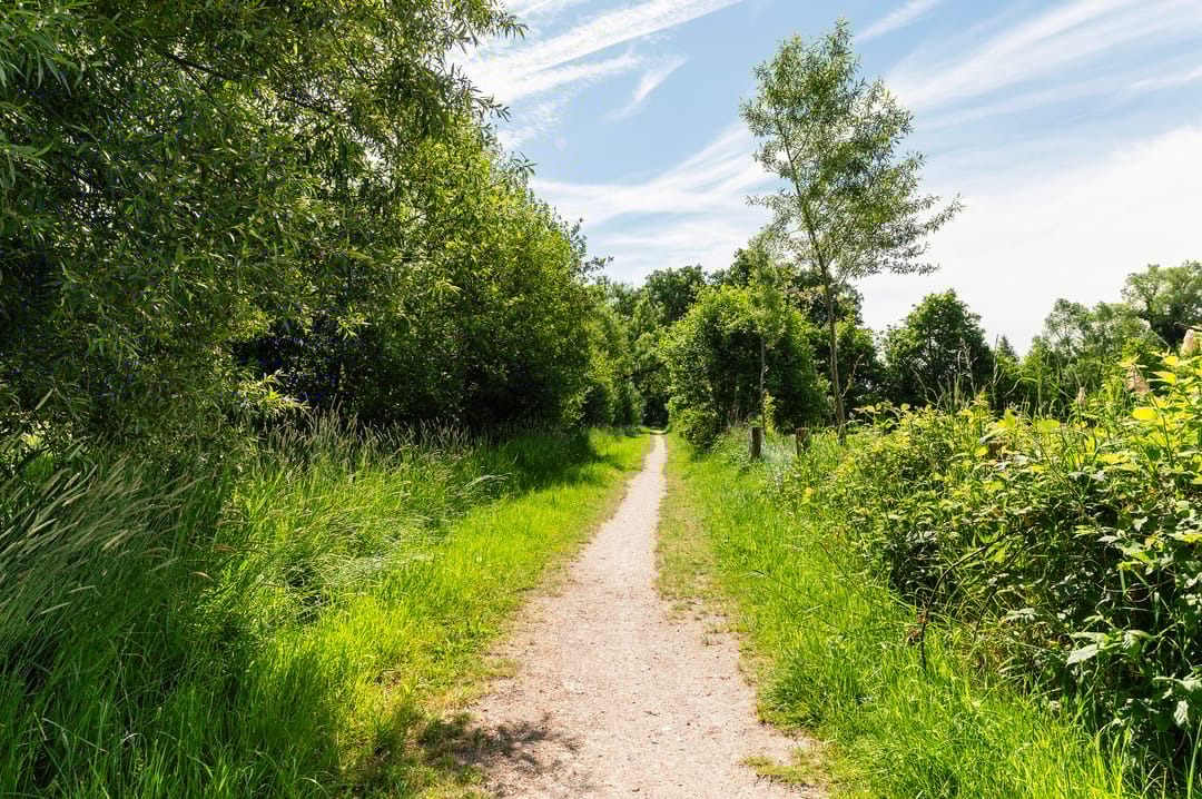 Foto 53 van Nijstadstraat 6