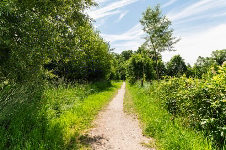 Foto 53 van Nijstadstraat 6