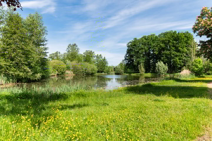 Foto 55 van Nijstadstraat 6