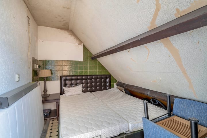 Foto 42 van Libelleveen 254