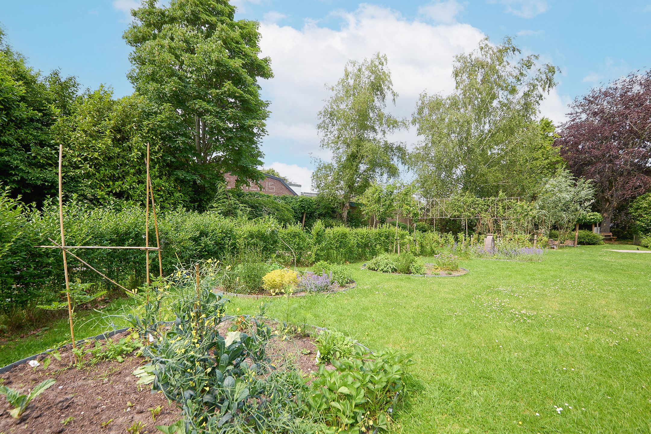 Photo 45 of Rusburglaan 11