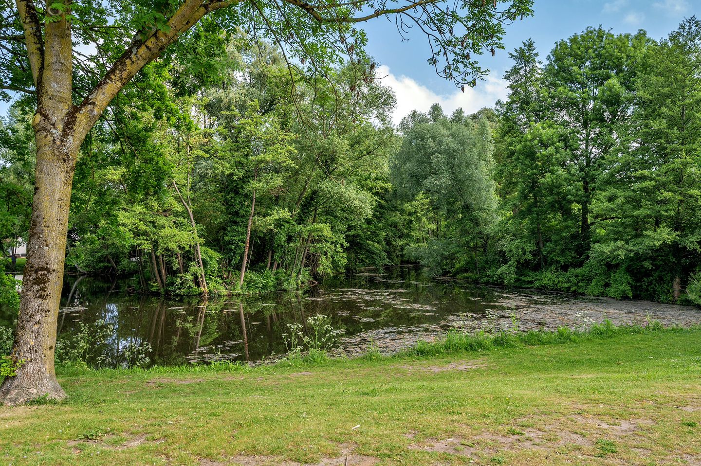 Foto 40 van Rijnbeekstraat 2-C