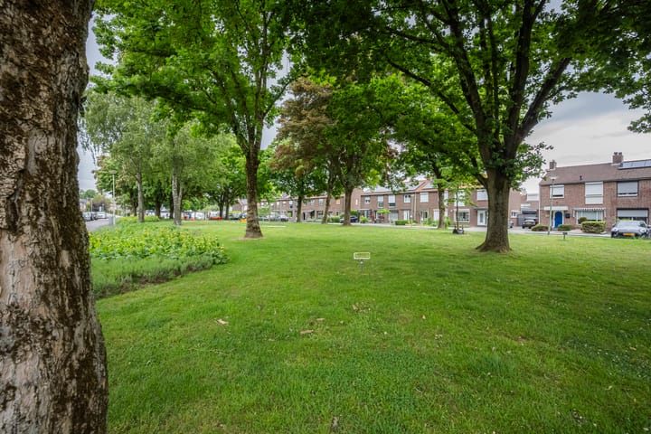 Foto 25 van Beneluxstraat 56