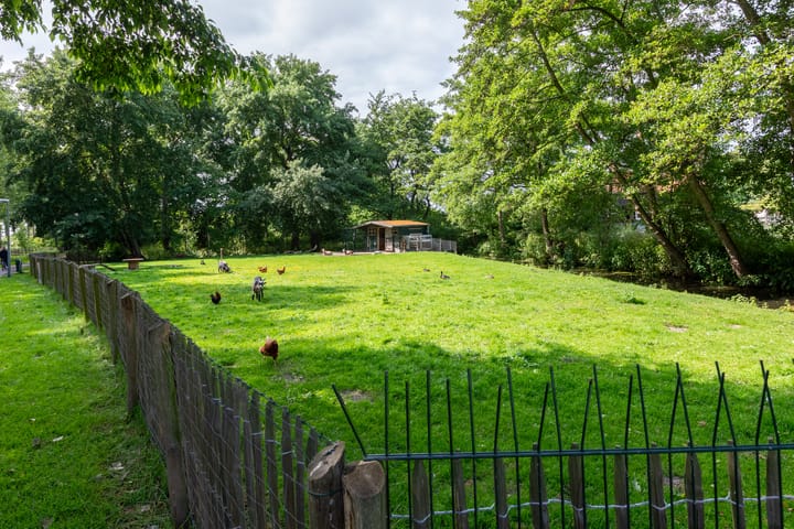 Foto 33 van Van Polanenpark 266