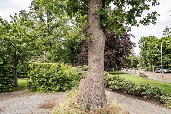 Foto 39 van Brederoodseweg 35