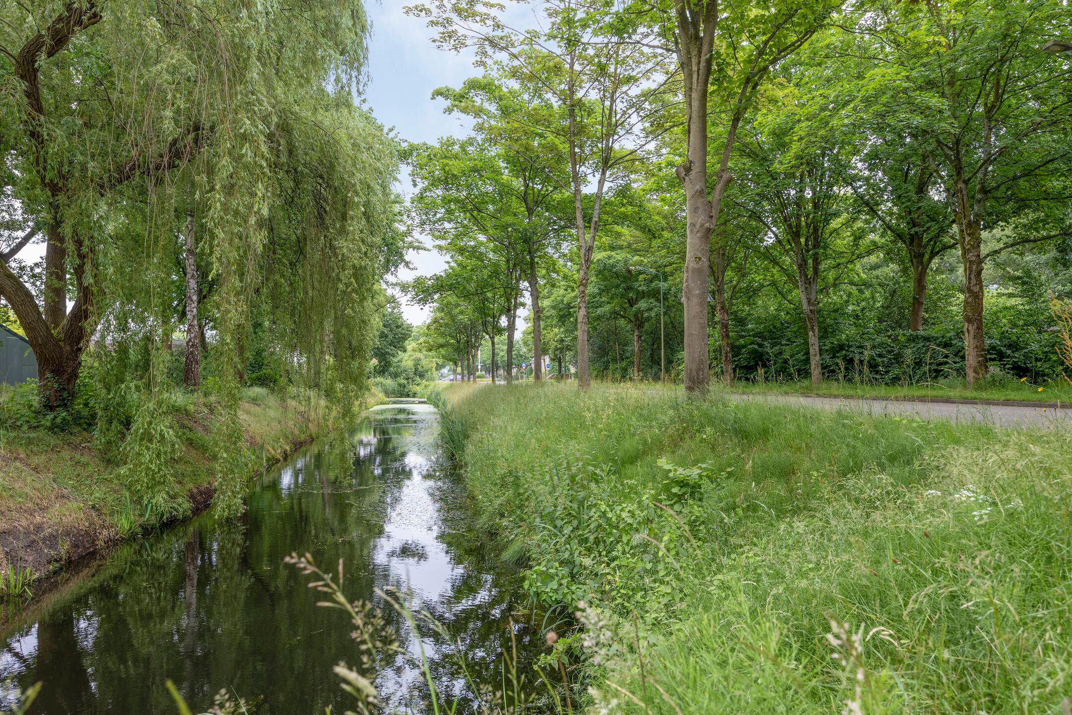 Foto 51 van Meierijlaan 20