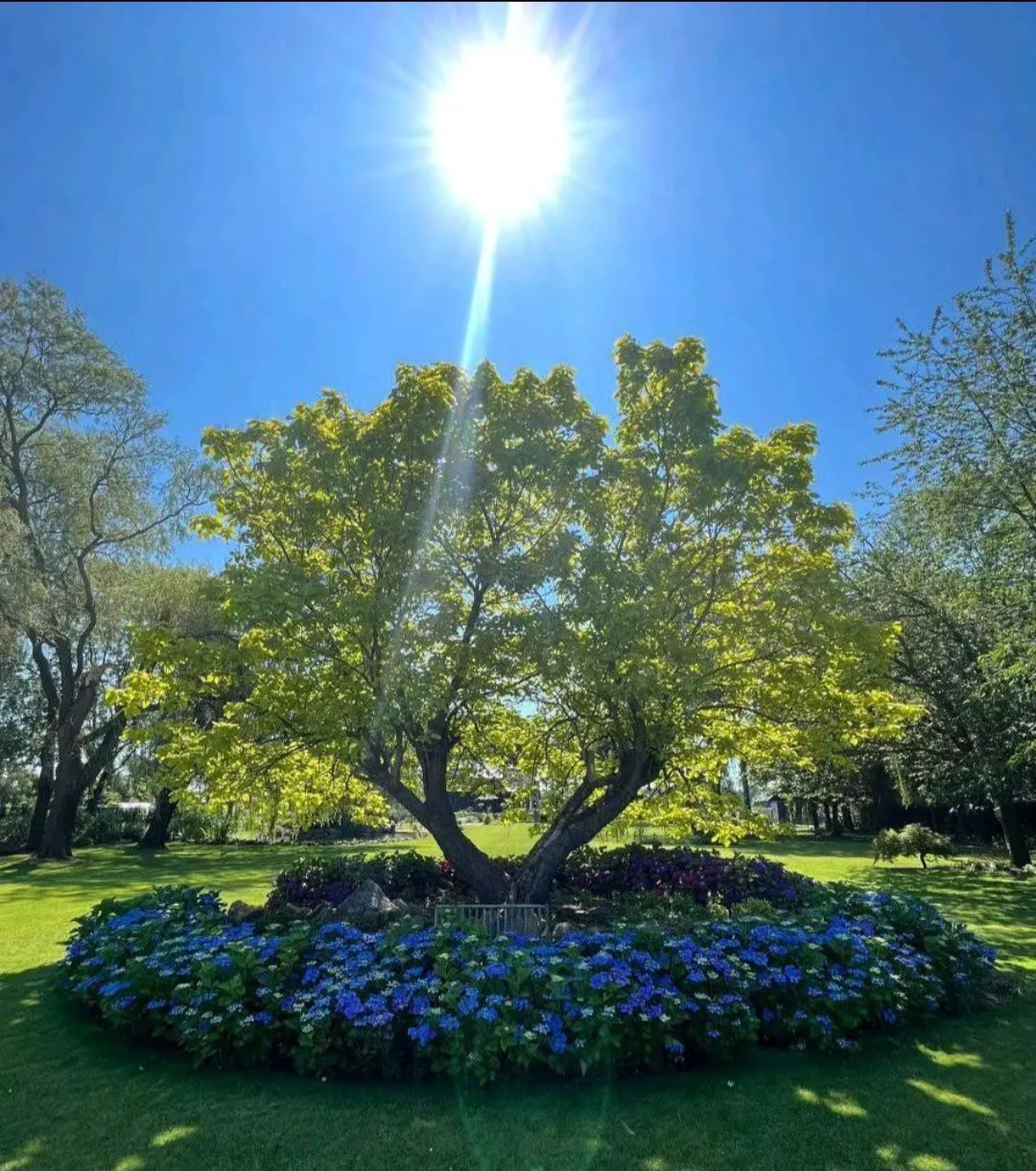 Foto 88 van Rustenburgstraat 6-B