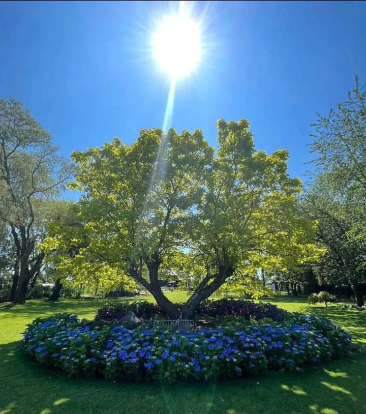 Foto 88 van Rustenburgstraat 6-B