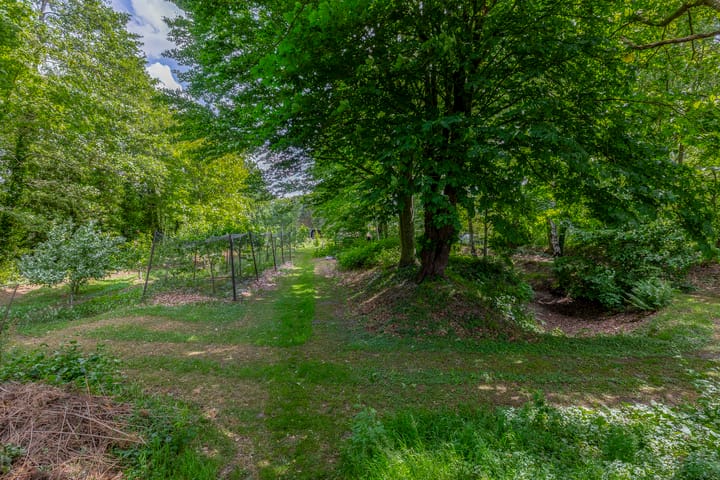 Foto 51 van Weenderstraat 79