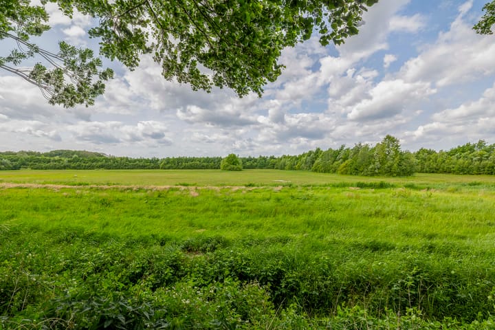 Foto 52 van Weenderstraat 79