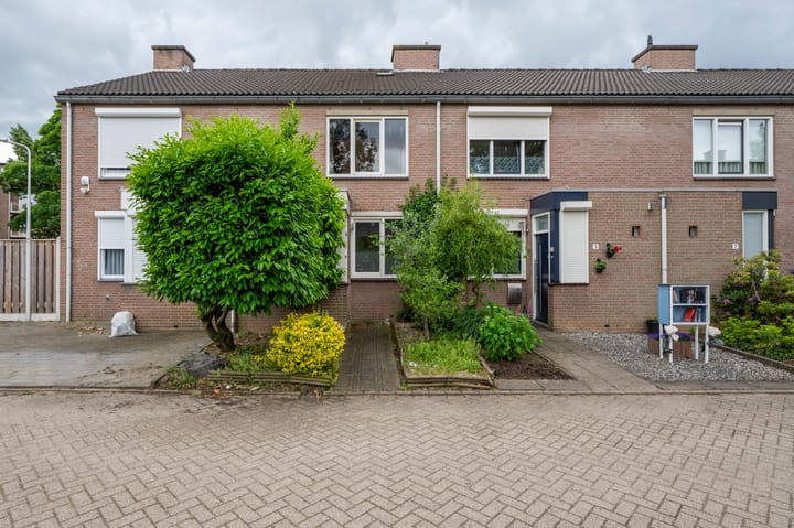 undefined main image