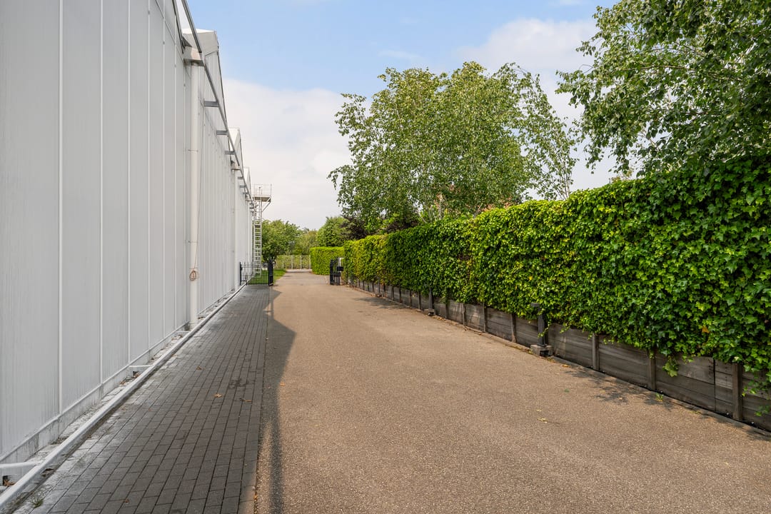 Photo 37 of Nieuweweg 37