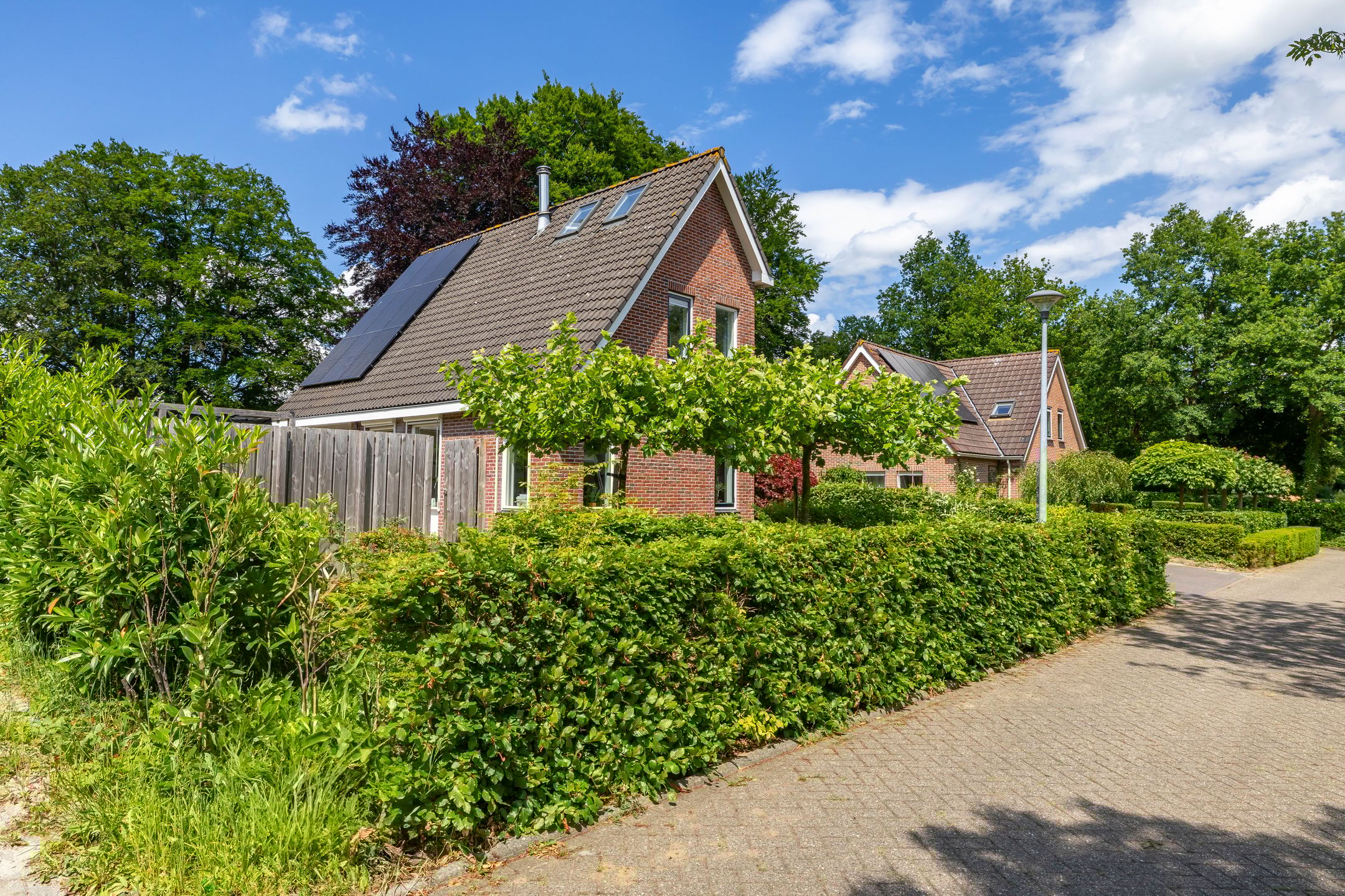 Photo 6 of het Oelbred 3