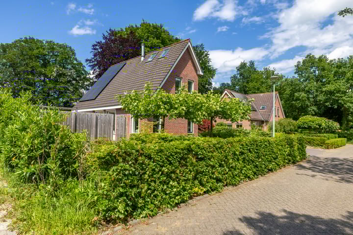 Foto 6 van het Oelbred 3