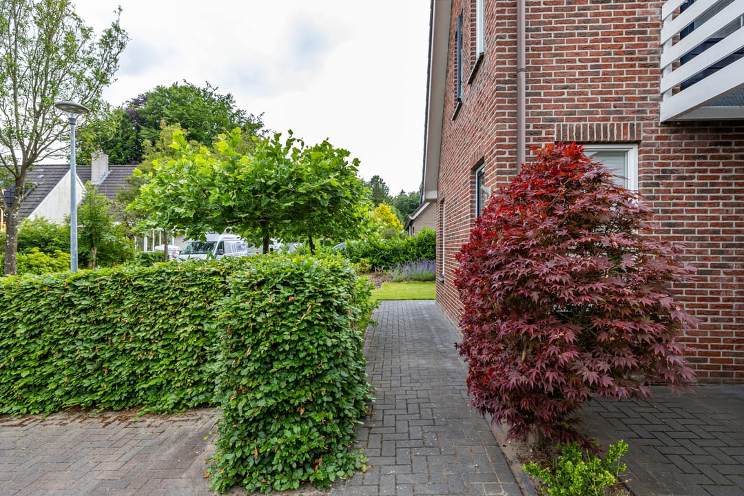 Photo 8 of het Oelbred 3