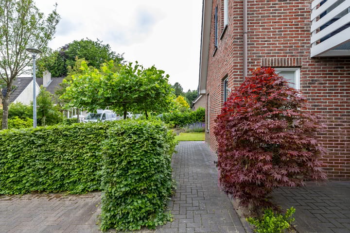 Foto 8 van het Oelbred 3