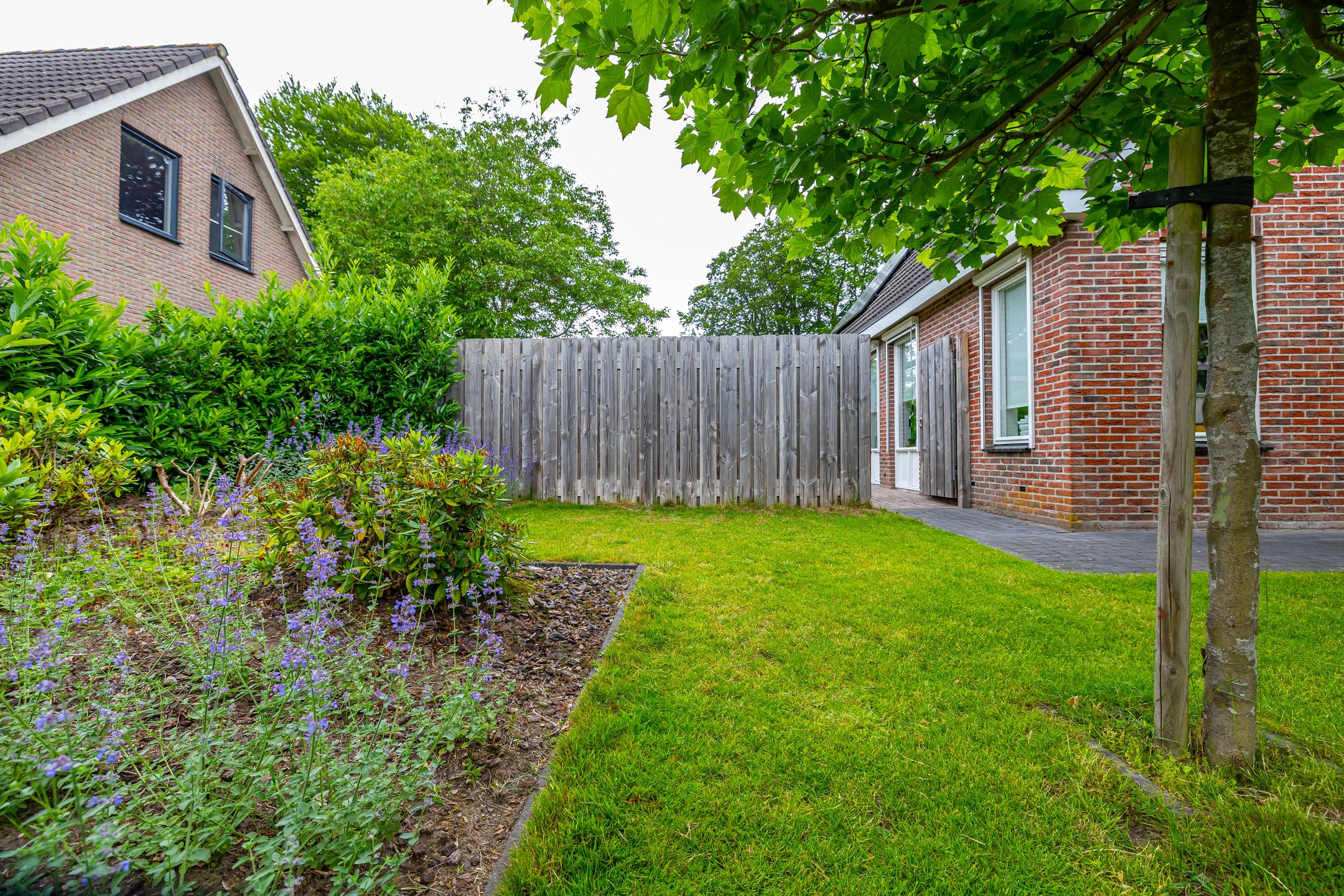 Photo 9 of het Oelbred 3