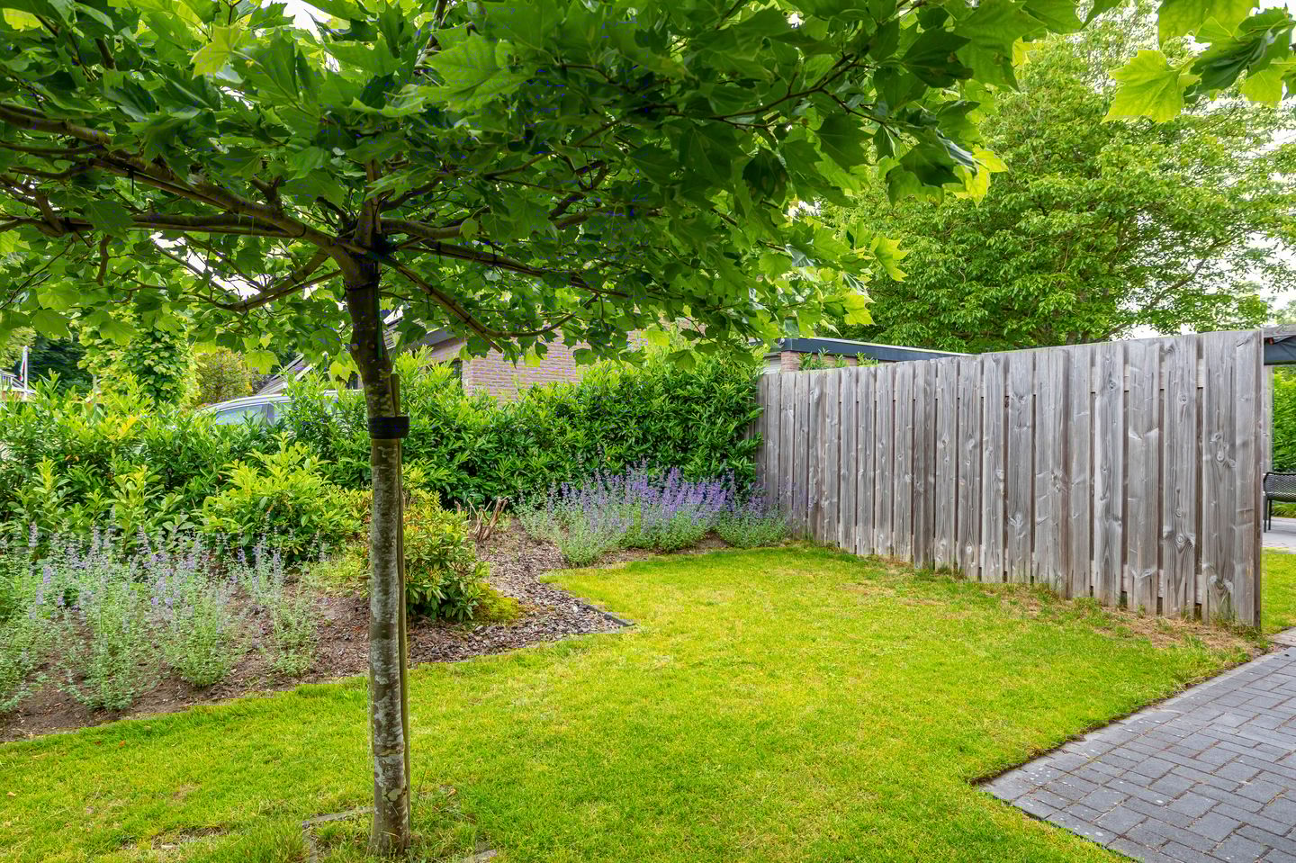 Photo 10 of het Oelbred 3