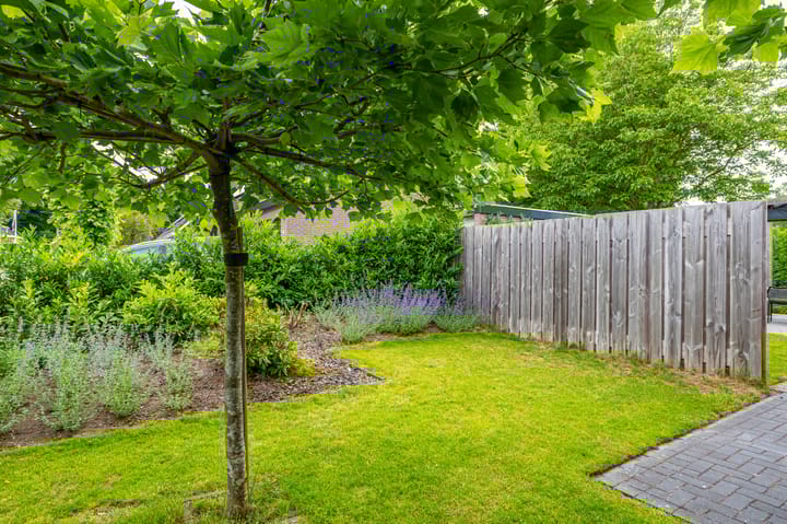 Foto 10 van het Oelbred 3