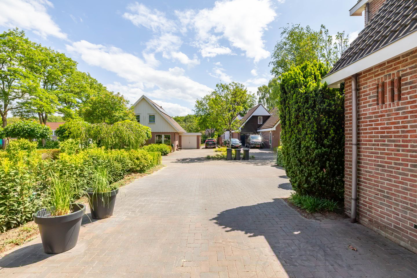 Photo 19 of het Oelbred 3