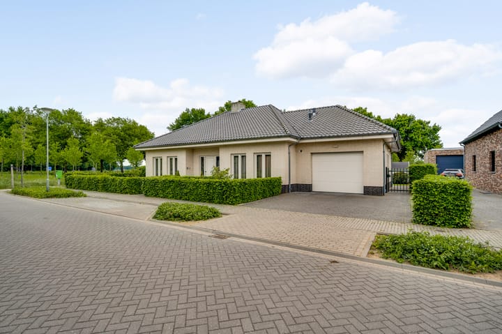 undefined main image
