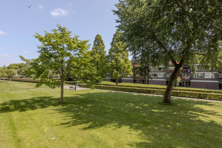 Foto 3 van Langeplaat 93