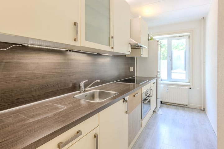 Foto 4 van Langeplaat 93