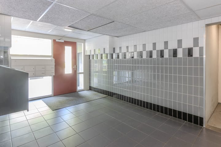 Foto 6 van Langeplaat 93