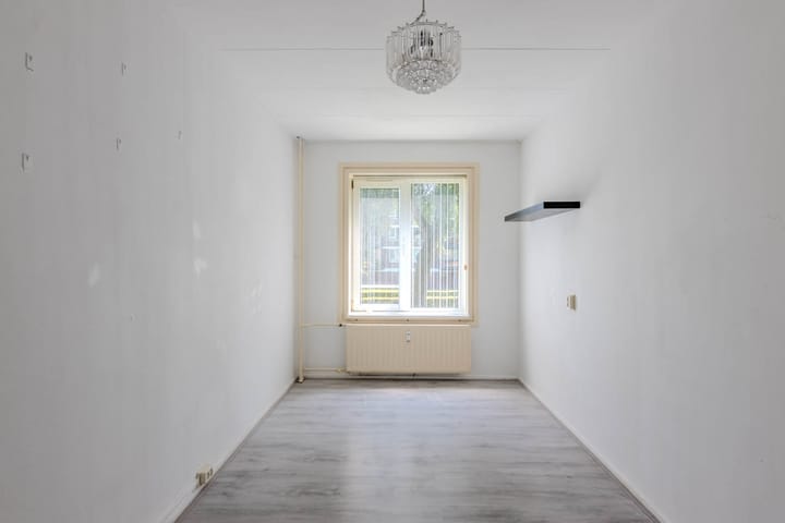 Foto 16 van Langeplaat 93