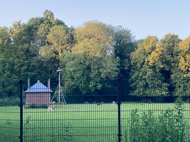 Foto 40 van Beethovenlaan 1