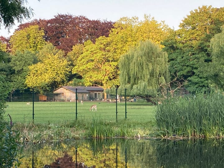 Foto 42 van Beethovenlaan 1